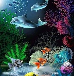 Meet your Posher, Donna f.